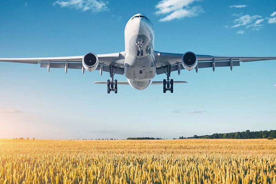 Foto eines Flugzeugs, das über ein Kornfeld fliegt. 