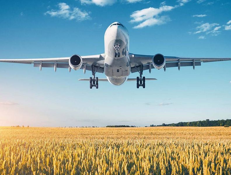Photo of an airplane flying over a cornfield.