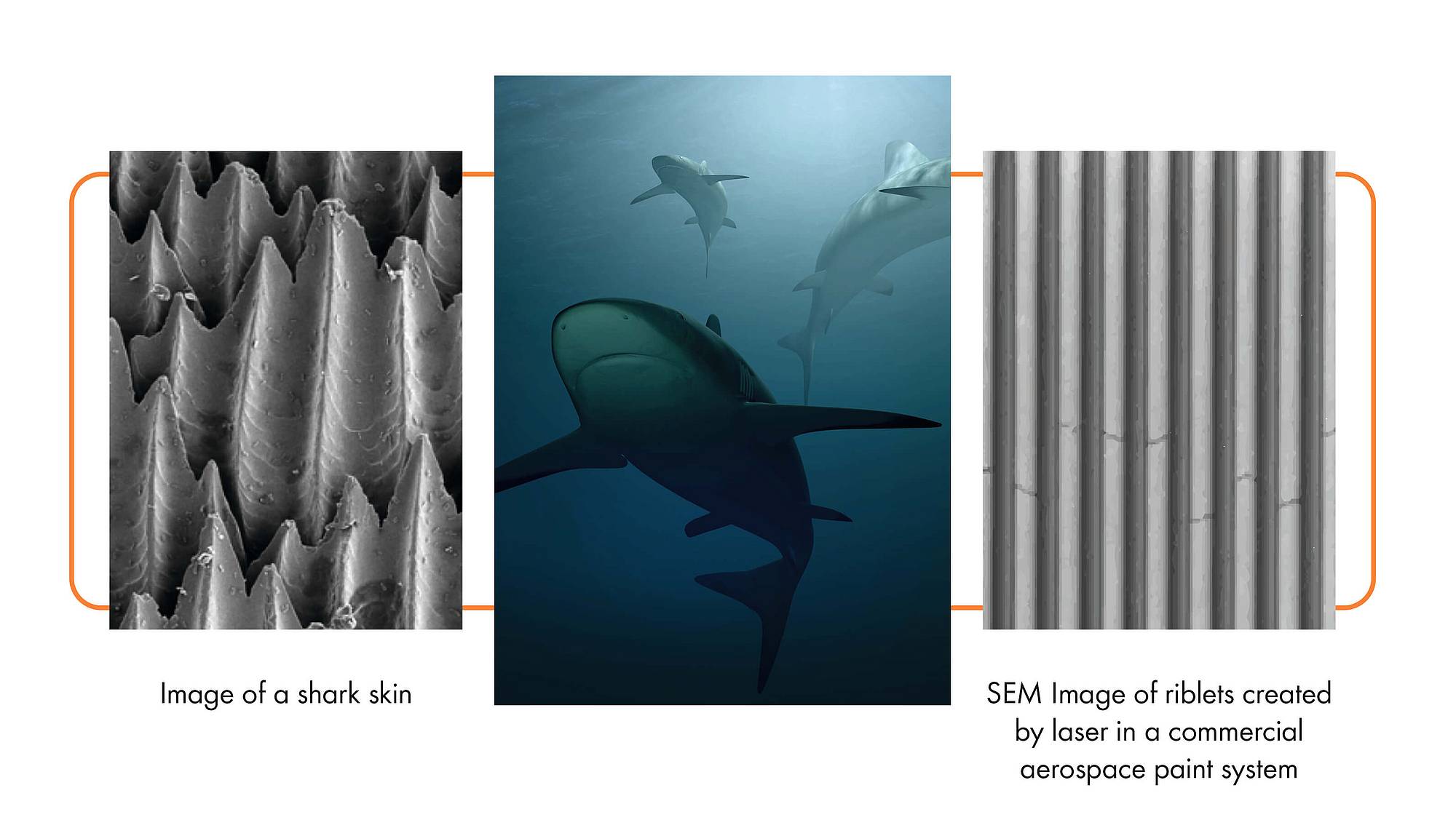 Mimicking the skin of a shark by laser treatment of the aircraft surface allows to reduce fuel burn and CO2 emissions by up to 2% Mimicking the skin of a shark by laser treatment of the aircraft surface allows to reduce fuel burn and CO2 emissions by up to 2%