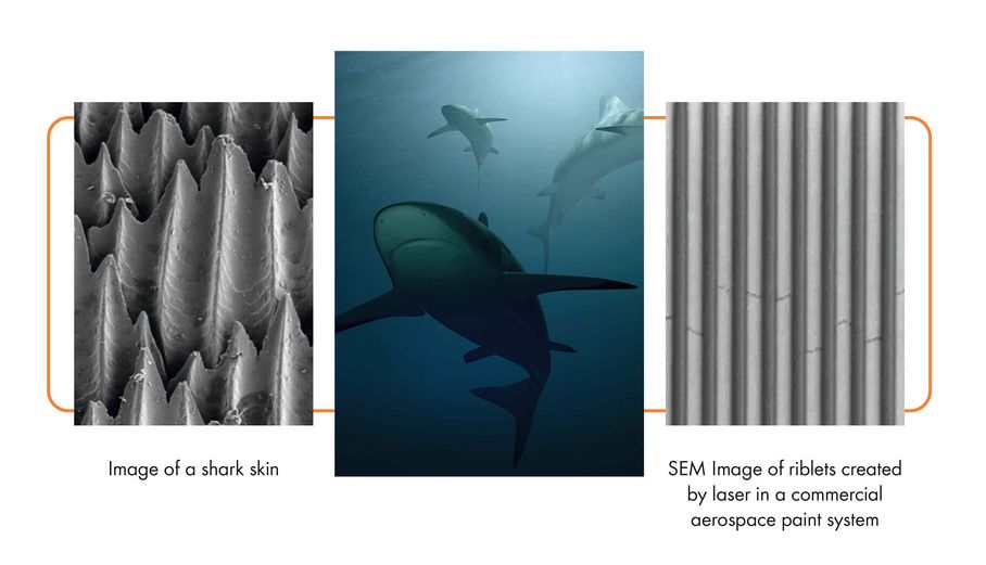 Mimicking the skin of a shark by laser treatment of the aircraft surface allows to reduce fuel burn and CO2 emissions by up to 2%