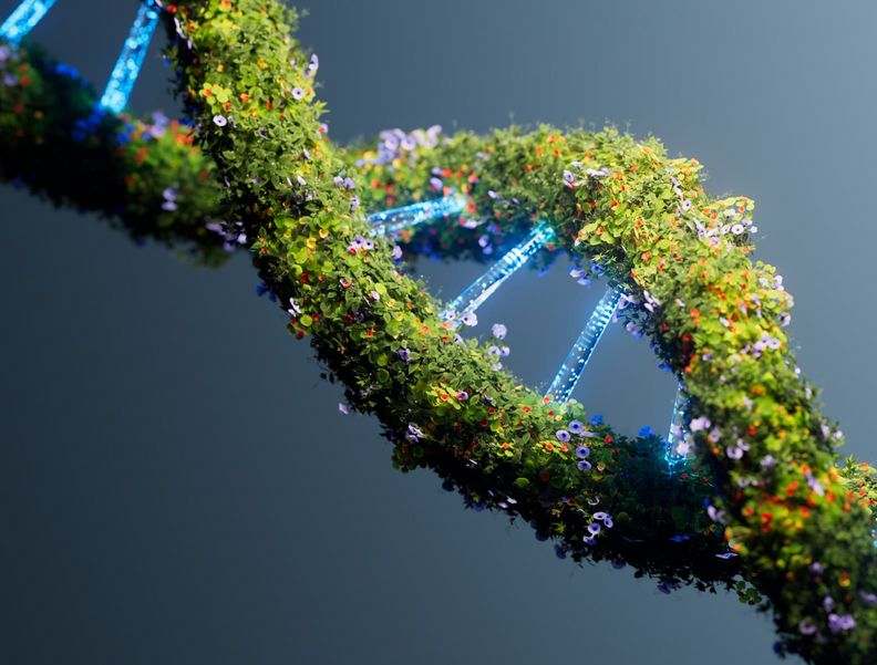 Symbolbild einer grün bewachsenen DNA.