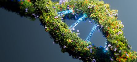 Symbolbild einer grün bewachsenen DNA.