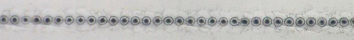 Microscopic image of glass edge cut.