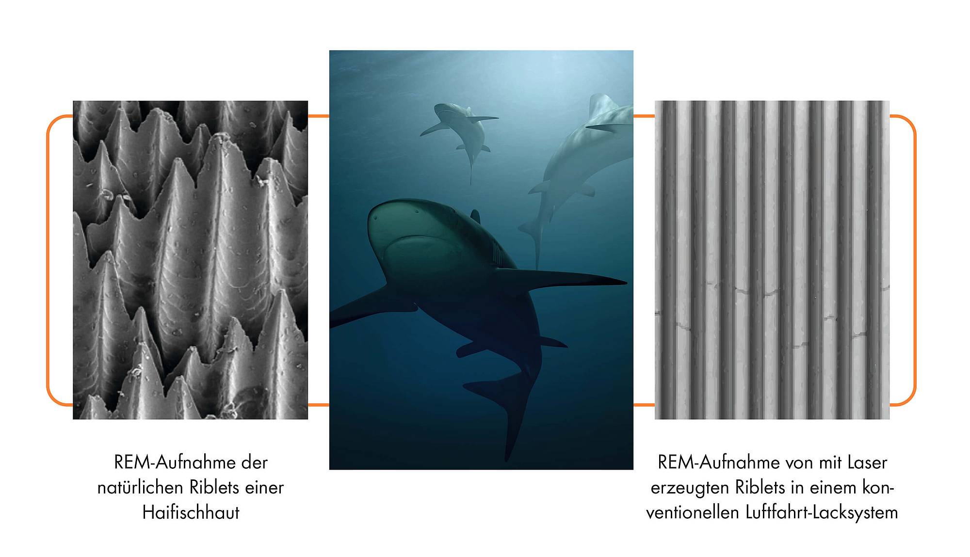 Die Nachahmung der Haut eines Hais durch Laserbehandlung der Flugzeugoberfläche ermöglicht eine Verringerung des Treibstoffverbrauchs und der CO2-Emissionen um bis zu 2%