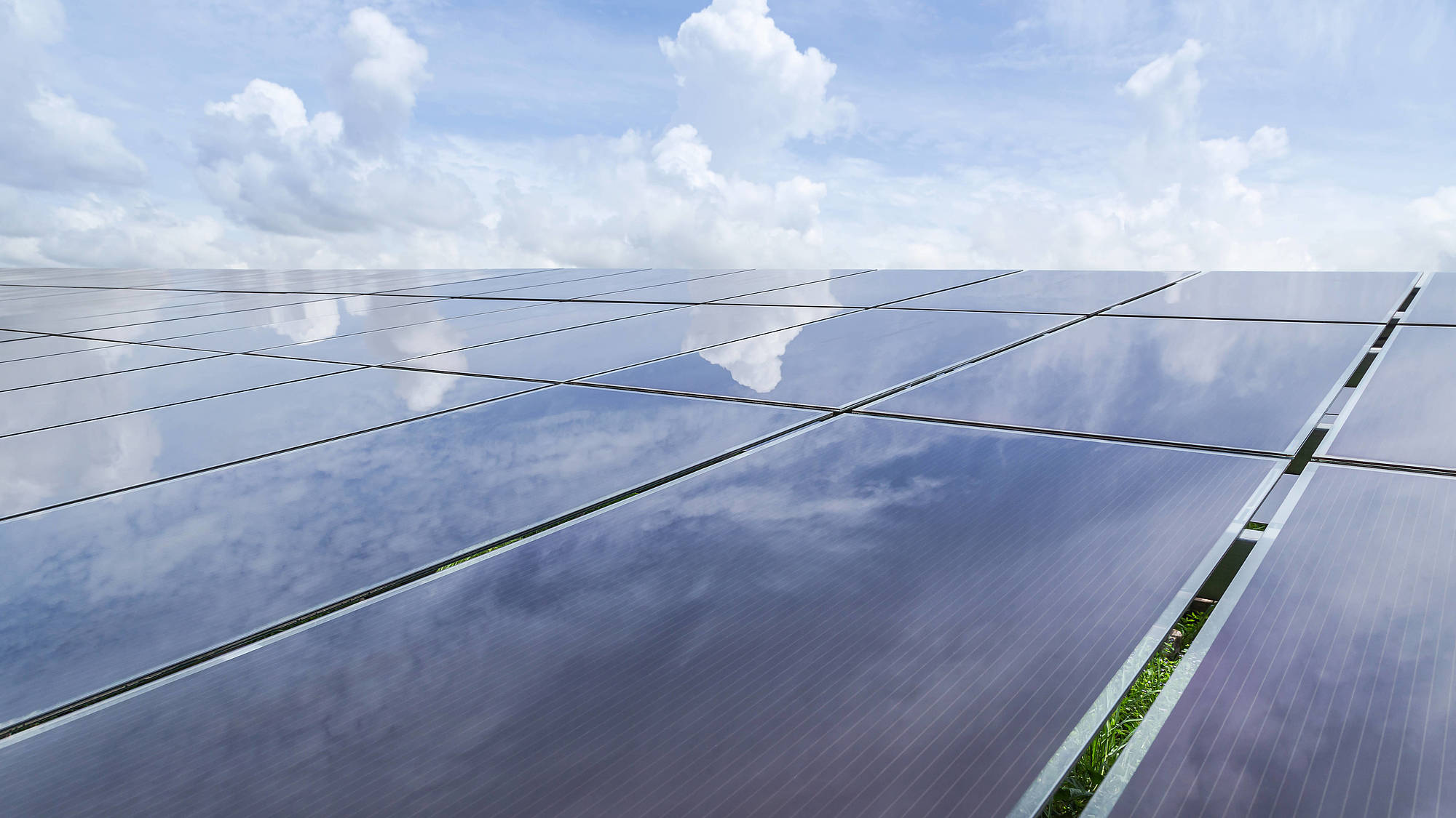 CdTe Modules in a  Solar Field