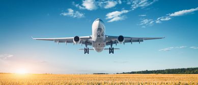 Ein Passagierflugzeug fliegt über ein Kornfeld.