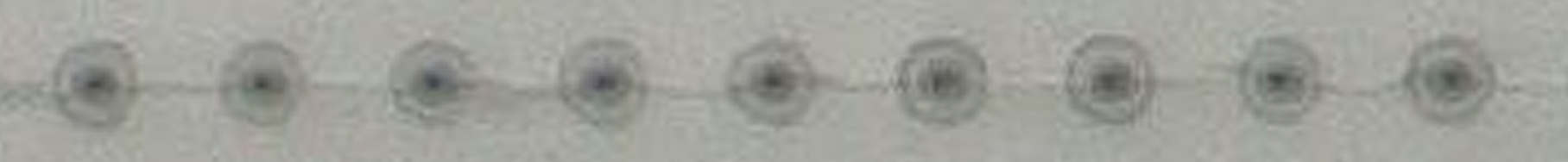 Die Mikroskop-Aufnahme zeigt mehrere kleine Löcher in einer Reihe im Glas, die durch feine Risse miteinander verbunden sind.