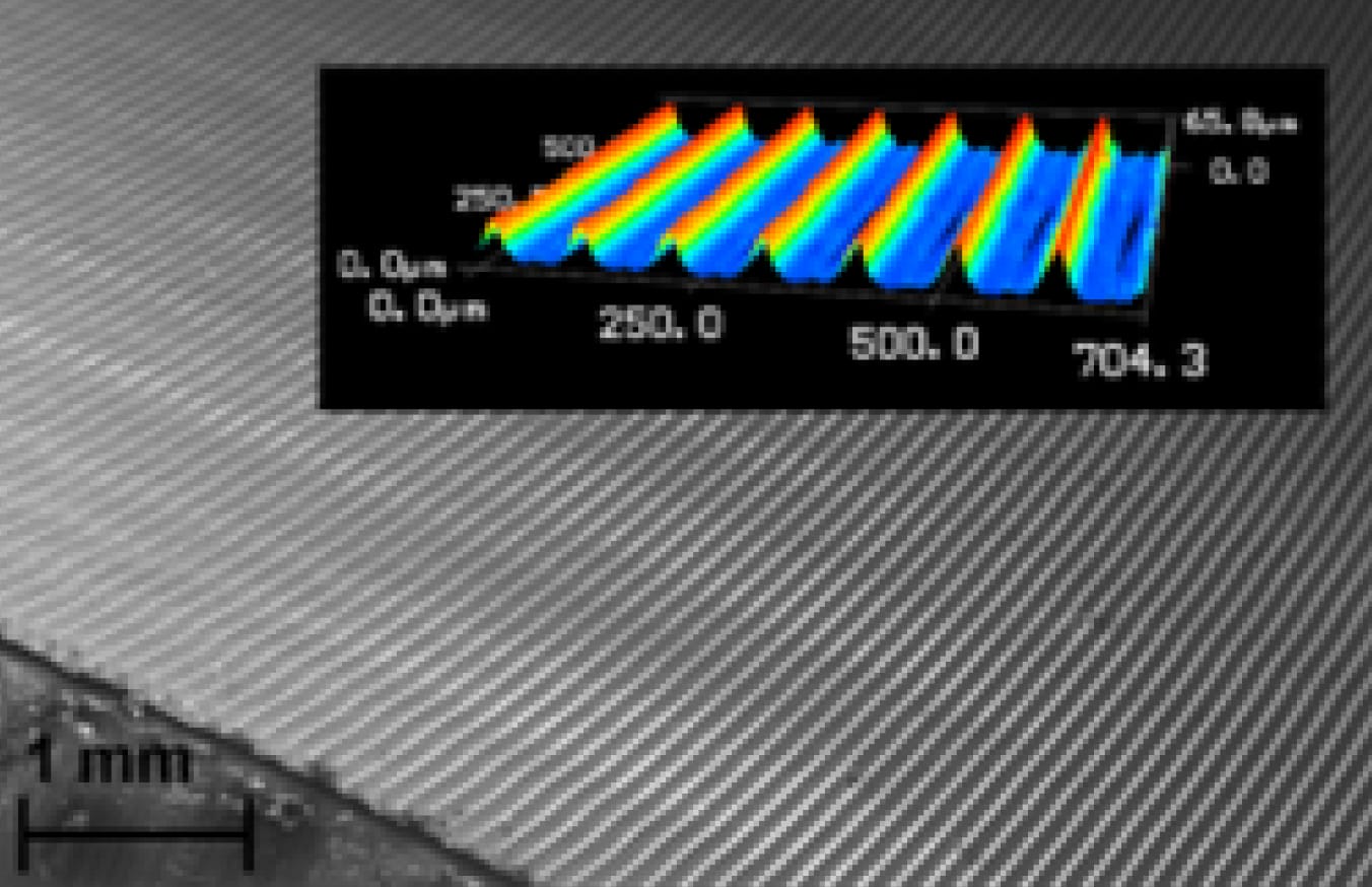 Grafische Darstellung der erzeugten Riblet-Strukturen. 