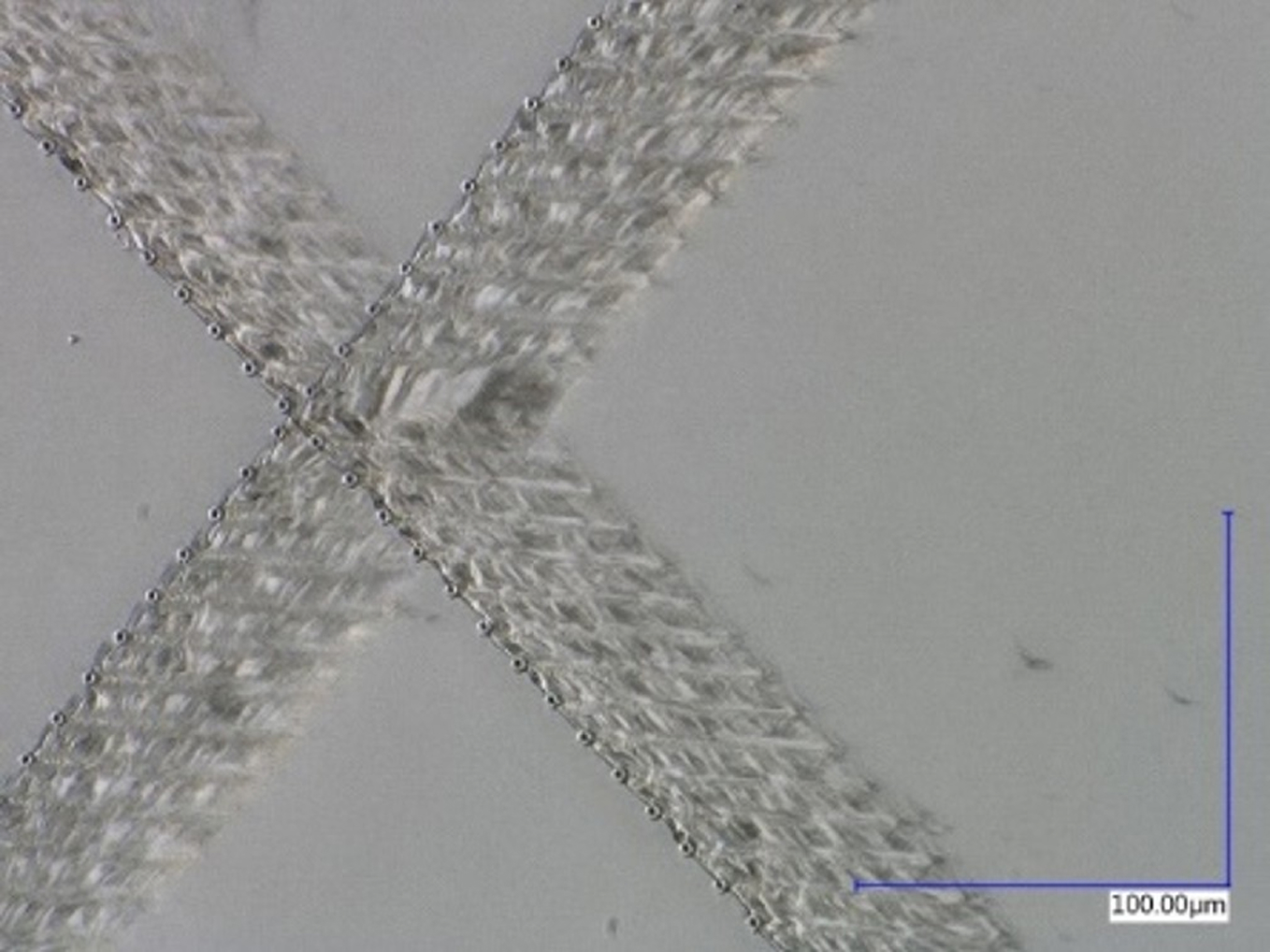 Mikroskopische Aufnahme eines nanoPerforierten Glaswafers vor dem Brechen. Vorher sind lediglich strukturierte Linien zu erkennen, danach eine klar geschnittene Kante.