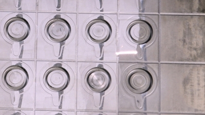 Mold cleaning Mold cleaning